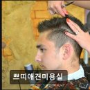 쁘띠애견 이미지