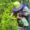 일성트루엘어린이집 이미지