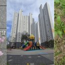 주촌서희스타힐스 Daum카페