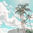 여름이네 이미지