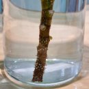 바른오늘의원 이미지