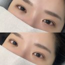 세니뷰티