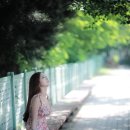 7080 포크콘서트 이미지