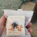 담은떡