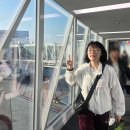 욱`s카# | 마카오 기념품, 풀리테이블웨어, 기화병가 판다쿠키, 마그넷, 홍콩택시 미니카, 여행 해장은 감자탕으로