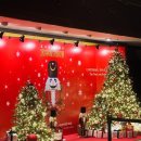 발레로 보는 동화이야기 실데렐라 | 세종문화회관 유니버셜발레단 호두까기인형 줄거리 vip석 주차