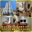 브라운도트1 이미지