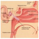 홍대영한의원 이미지