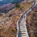 김종연농장 이미지