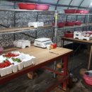 철이네농장 이미지