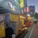 해양참치 이미지