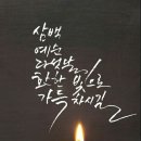땡초네 이미지
