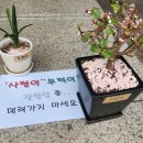 3월 대만 여행 준비한다면? 실제 여행자들이 추천한 일정, 맛집, 관광지 총정리 이미지