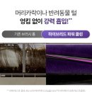 클린샤크 이미지