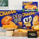 봄이오니 이미지