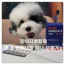 뺑덕어미 | [농심 반려다움] 프레쉬 오메가3 미니: 우리 아이 피모와 눈 건강을 위한 똑똑한 선택!