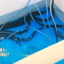 두암농장 이미지