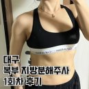 [대구 비만 클리닉 의원] 하프컷 복부 지방분해주사 하복부 시술 1회차 후기