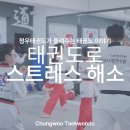 청우태권도장 서울본관 | 직장인 운동 추천, 강남 성인태권도 청우태권도장에서 스트레스 해소하기
