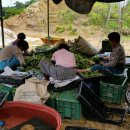 한철농장 이미지