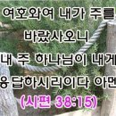 (주)바세바