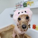 부천볼트 이미지