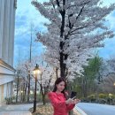 박은빈 카카오 검색결과