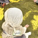 홈플러스(주)경산점 이미지