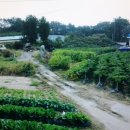 군산시-00027 Daum카페