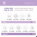 세스티끄 - 강남구 학동로 209 | 세스티끄