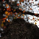 양평-용문-용문-4 이미지