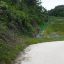 진양태양광발전소 이미지