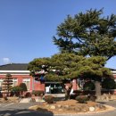 구례읍사무소 이미지