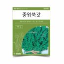 씨앗