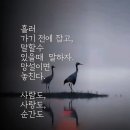 ＜＜ 국가정보자원관리원 화재와국가부도 위기, 1년도 길다! ＞＞ 이미지