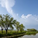 [투얼로지] 한강 섬들의 매력, 서울 초여름 섬 여행 가볼까 이미지