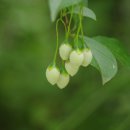 수리산 산림욕장 이미지