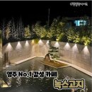 영광중학교 | 영주 핫플 감성 카페 녹스고지