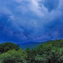 다산생태공원 이미지