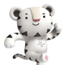 호랑이와 반달곰 이미지