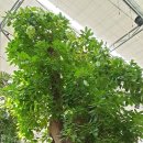 진사농장 이미지