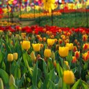 신흥1동 이미지