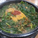 통정흑염소 이미지