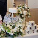 바우정원 | 블룸데이즈 돌상 찐 추천 후기( in 세종 바우정원)