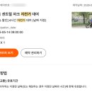 5번가할인매장 | 클룩 5월 뉴욕 센트럴파크 자전거 대여 내돈내산 후기