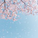 해솔학원 - 천안시 서북구 성정두정로 126 | 해솔학원