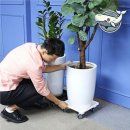 홈가드닝 이미지