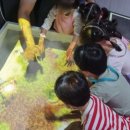 황등어린이집 이미지