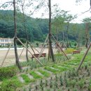 명호중학교 이미지
