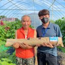 김포시북부노인복지관 경기인터넷신문